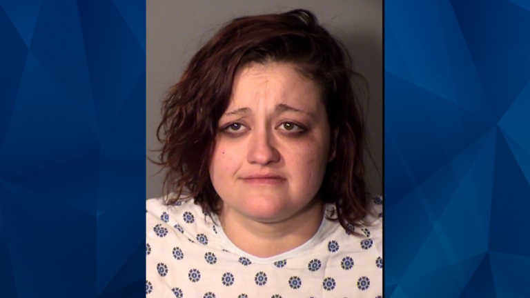 UPDATE: Woman busted for vandalizing car tells cops she killed her 4 ...