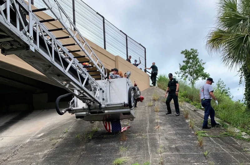 Police rescue girl from overpass