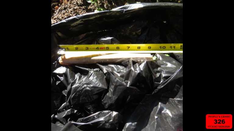 Dylan Redwine Crime Scene Photos: Bones, clothes & possible toe found