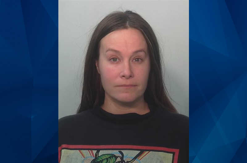 Megan Ford's mugshot