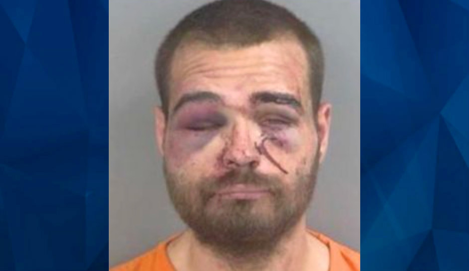 “Florida Man Rampage: Attacks Officers and Police Dog After Killing Mother in Multi-County Chase”