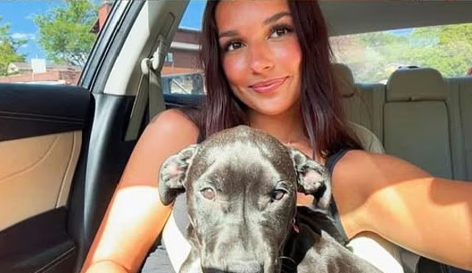 Wyoming Teen Poisons Roommate’s Dog with Antifreeze Shortly After Moving In: Police