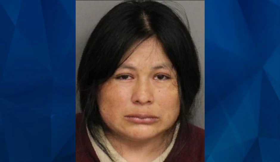 New York Tot Dies After Mother Leaves Him in Hot Car Over 8 Hours: Police