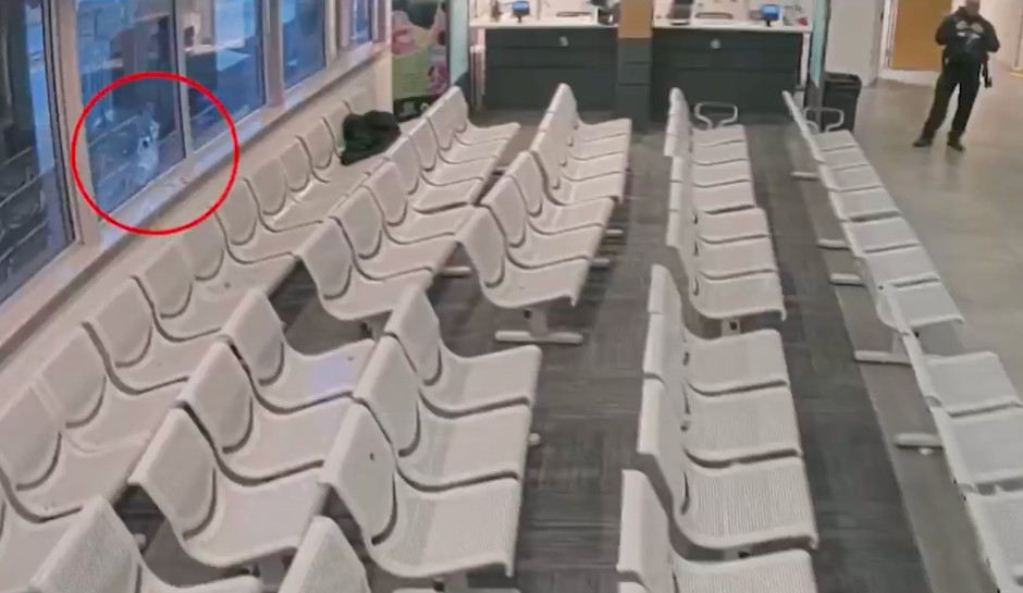 Trooper, Suspect Dead in Shooting at Delaware DMV