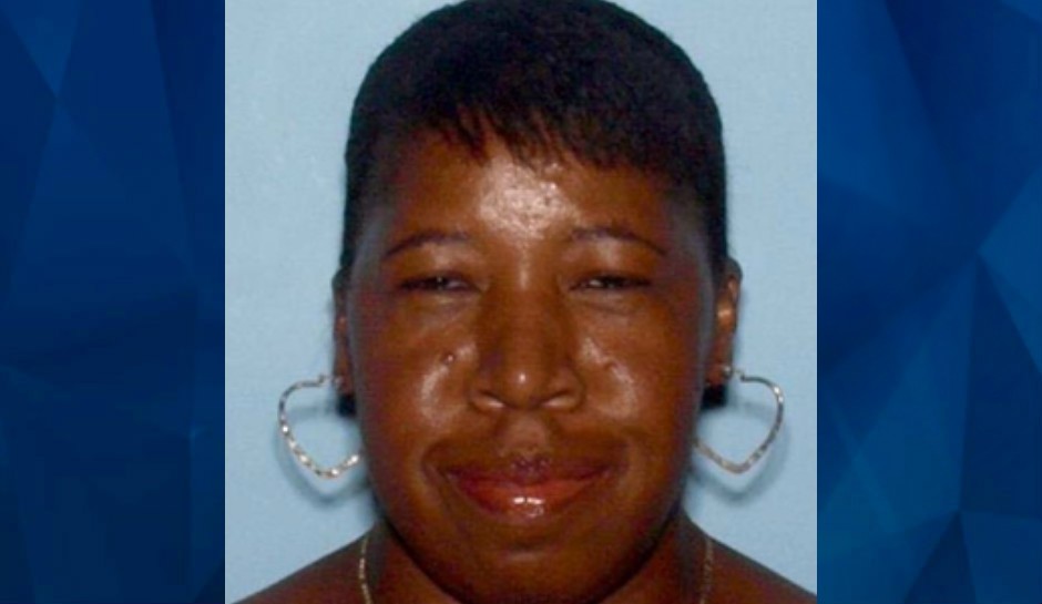 Diane Cassandra Fields: GBI Seeks Tips on Georgia Woman Missing Since 2014