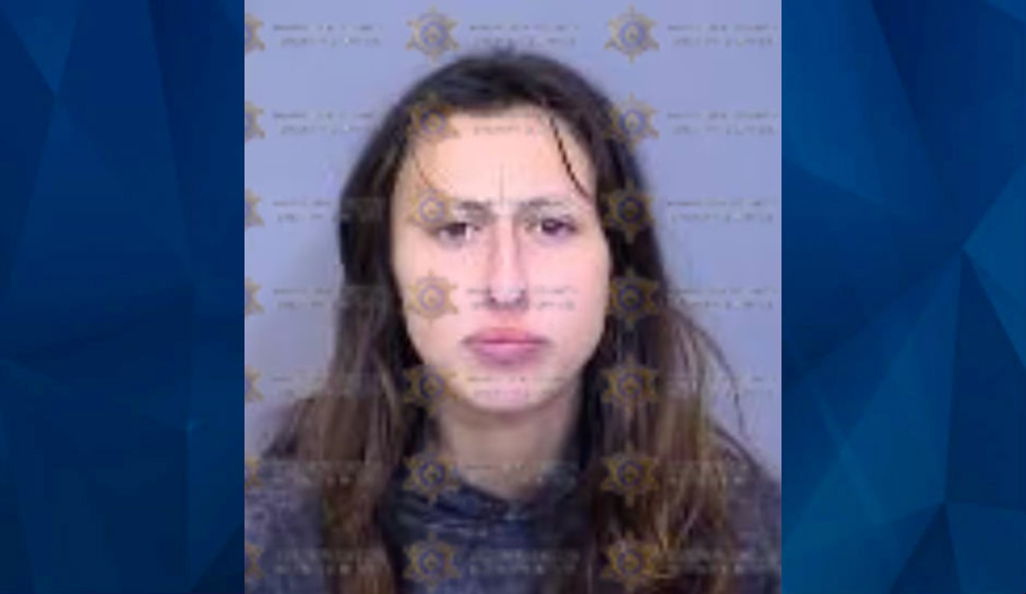 23-Year-Old Woman Kidnaps Toddler She Believes Is Her ‘Long-Lost Child’