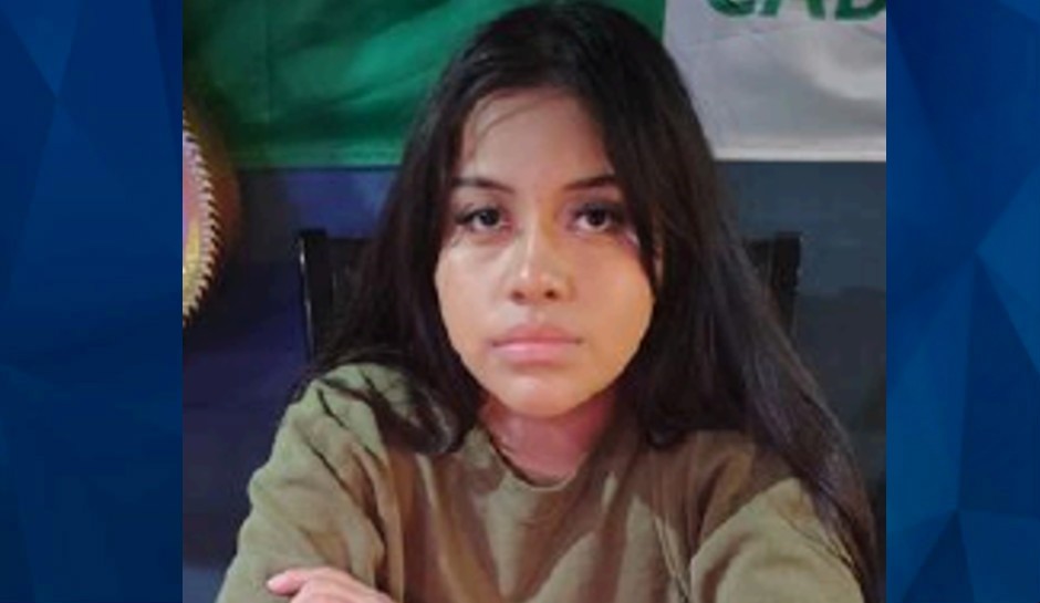 BOLO: Illinois Teen Girl, 15, Vanishes After Leaving School