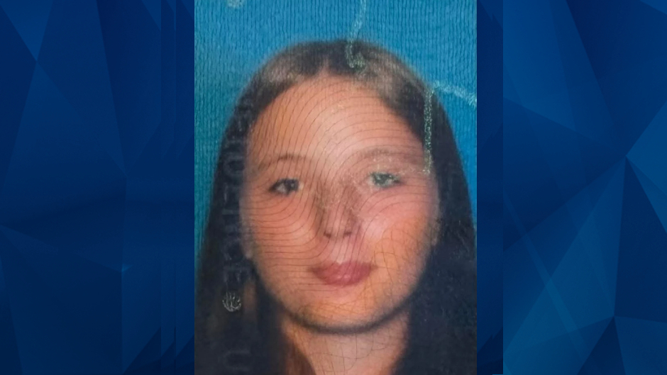 Search Underway for Teen Girl Who Possibly Vanished in Middle of Night
