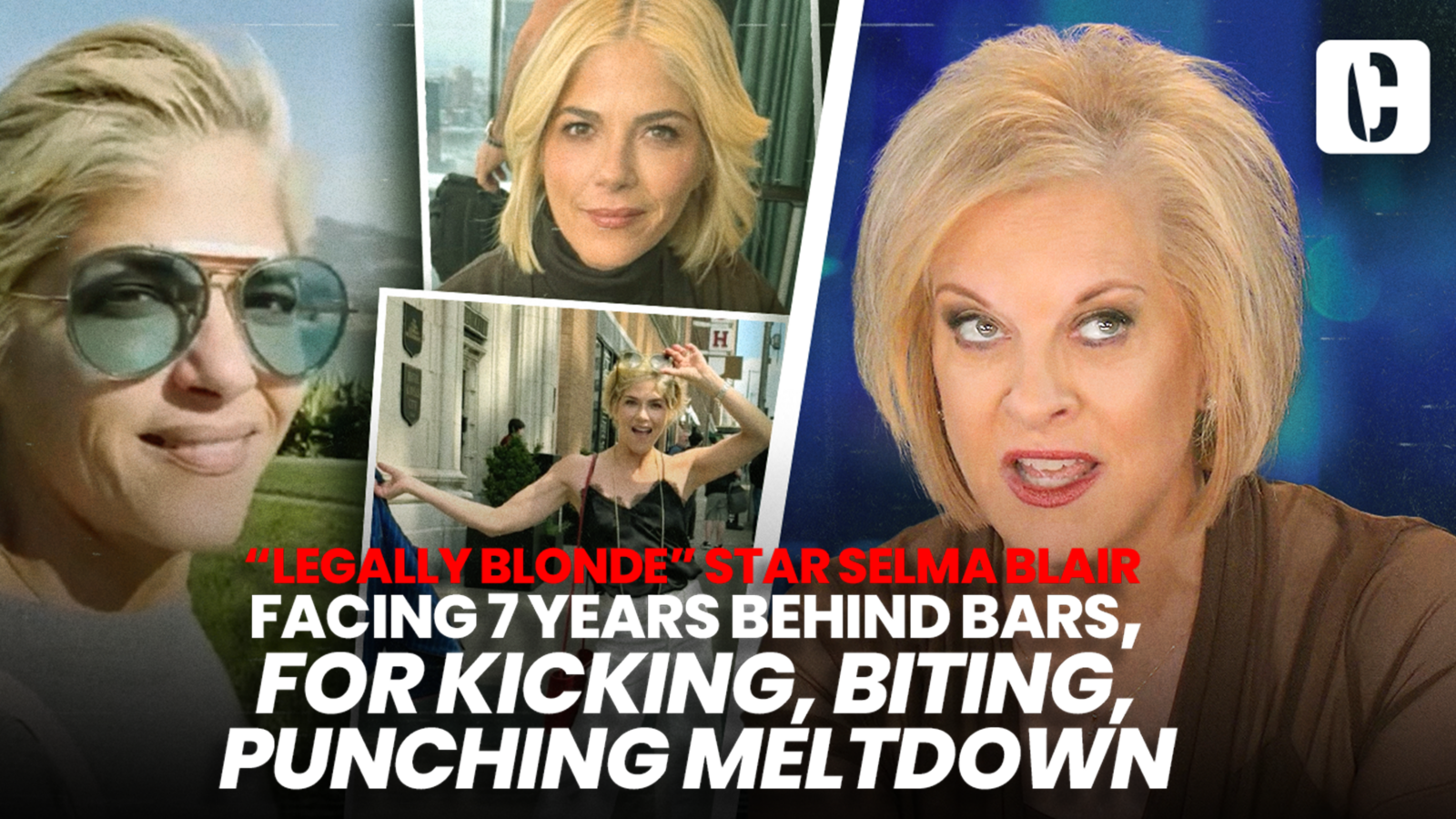 “LEGALLY BLONDE” STAR SELMA BLAIR FACING 7 YEARS BEHIND BARS, FOR KICKING, BITING, PUNCHING MELTDOWN